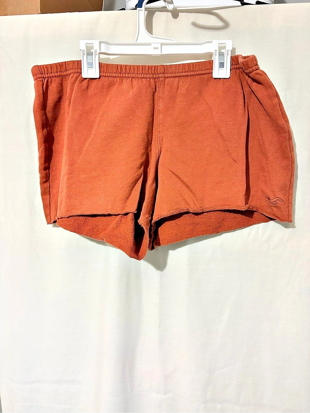 Hollister Logo shorts